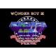 Wonder Boy III: Monster Lair Steam CD Key