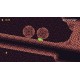 Zaba The Frog Steam CD Key