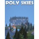 Poly Skies Steam CD Key