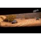 DiRT 2 PC Steam Gift