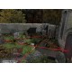Baldur’s Gate: Deluxe Edition Bundle PC Steam CD Key