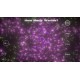 Radial Impact Steam CD Key