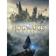 Hogwarts Legacy PC Steam Account