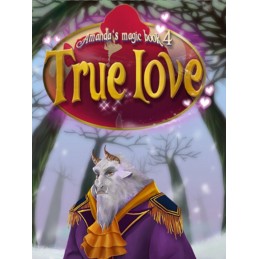 Amanda's Magic Book 4: True Love Steam CD Key
