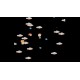 JumpingBoy Steam CD Key