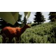SurrounDead EU Steam CD Key