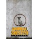 Animal Shelter Simulator AR XBOX One / Xbox Series X|S CD Key