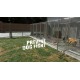 Animal Shelter Simulator AR XBOX One / Xbox Series X|S CD Key