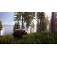Hunting Simulator 2 - Bear Hunter Pack DLC Steam CD Key