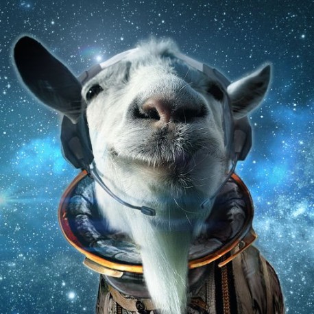 Goat Simulator + Waste of Space DLC PC Steam CD Key