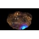 Torment: Tides of Numenera: Immortal Edition Steam CD Key