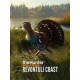 theHunter: Call of the Wild - Revontuli Coast DLC PC Steam CD Key