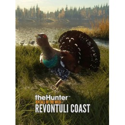 theHunter: Call of the Wild - Revontuli Coast DLC PC Steam CD Key