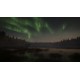 theHunter: Call of the Wild - Revontuli Coast DLC PC Steam CD Key