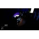 Thief Simulator PC Steam Account