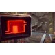 The Forest Cathedral PC Steam CD Key