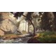 The Forest Cathedral PC Steam CD Key