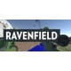 Ravenfield Steam Account