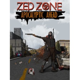 ZED ZONE PC Steam CD Key
