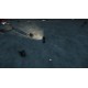 Forest Plague Steam CD Key