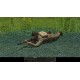Combat Mission: Battle for Normandy PC Steam CD Key