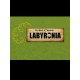The World of Labyrinths: Labyronia Steam CD Key
