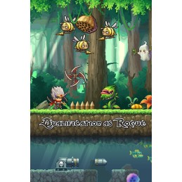 Qualification as Rogue Steam CD Key