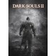 Dark Souls II PC Steam Account