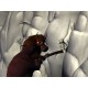 Bone: Out from Boneville Steam CD Key