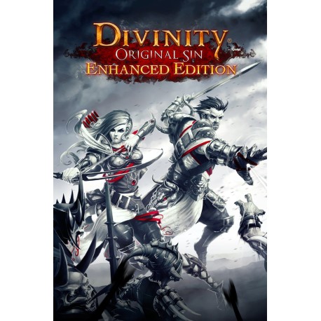 Divinity: Original Sin Enhanced Edition Steam Account