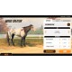 Rival Stars Horse Racing Steam Account