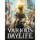 VARIOUS DAYLIFE PC Steam CD Key
