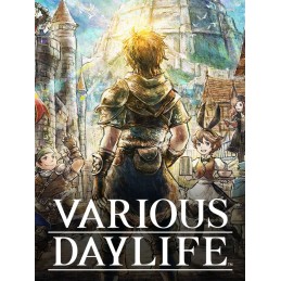 VARIOUS DAYLIFE PC Steam CD Key