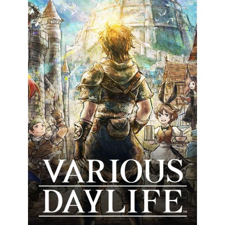 VARIOUS DAYLIFE PC Steam CD Key