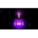 Octahedron: Transfixed Collector's Edition Steam CD Key