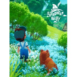 Everdream Valley PC Steam CD Key
