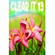 ClearIt 13 Steam CD Key