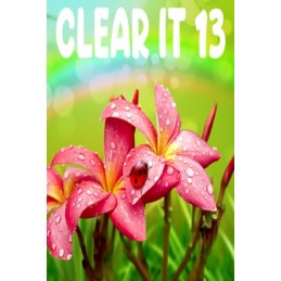 ClearIt 13 Steam CD Key