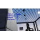 Flying Carpets Over Shark Infested Waters Steam CD Key