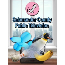 Salamander County Public Television Steam CD Key