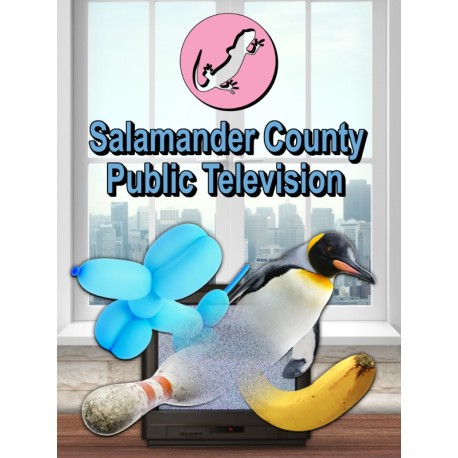 Salamander County Public Television Steam CD Key
