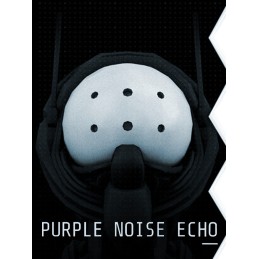 Purple Noise Echo Steam CD Key