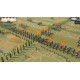 Field of Glory II: Medieval - Storm of Arrows DLC Steam CD Key