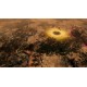 Warhammer 40,000: Gladius - Relics of War Steam Account