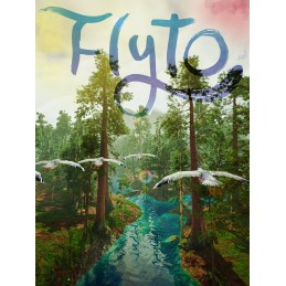 Flyto Steam CD Key