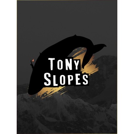 Tony Slopes Steam CD Key