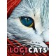 Logicats Steam CD Key