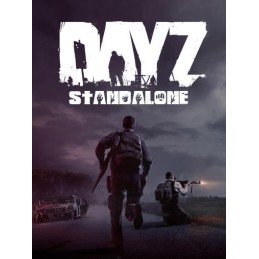DayZ LATAM PC Steam CD Key