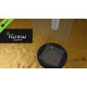 iGrow Game Steam Gift