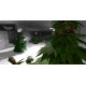 iGrow Game Steam Gift